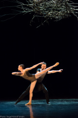 South  Bohemian Ballet - Zero gravity